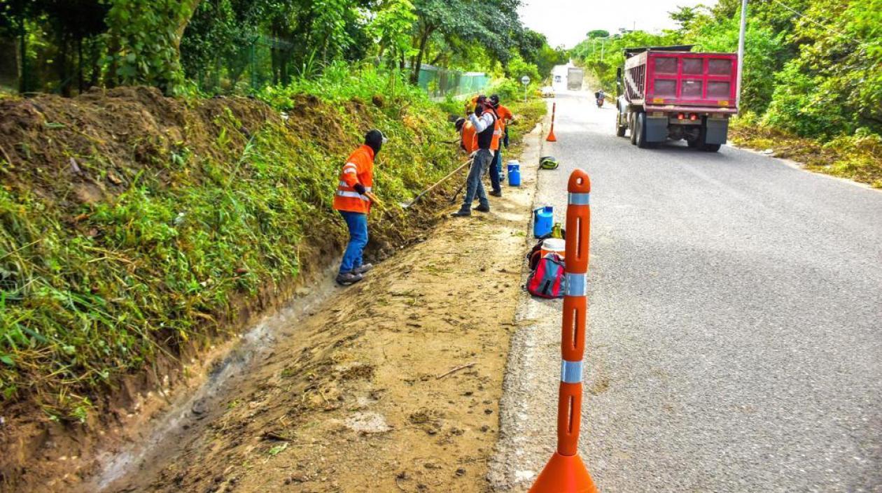 Con los trabajos se busca despejar las malezas de las vías.