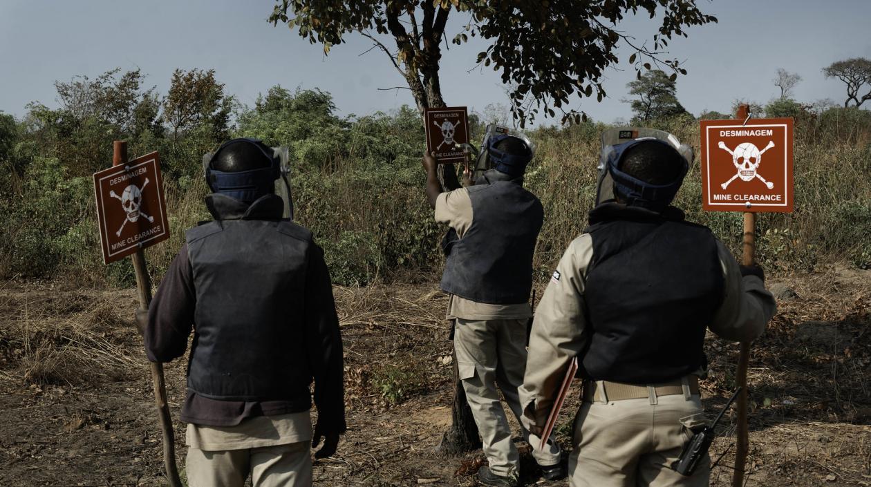 Esfuerzo por avanzar hacia un mundo libre de minas se ha visto entorpecido en 2020 por la pandemia de la Covid-19.