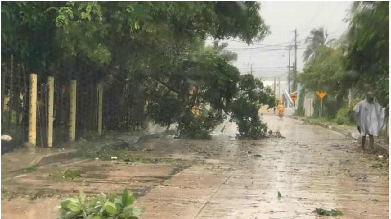 Foto captada en San Andrés.