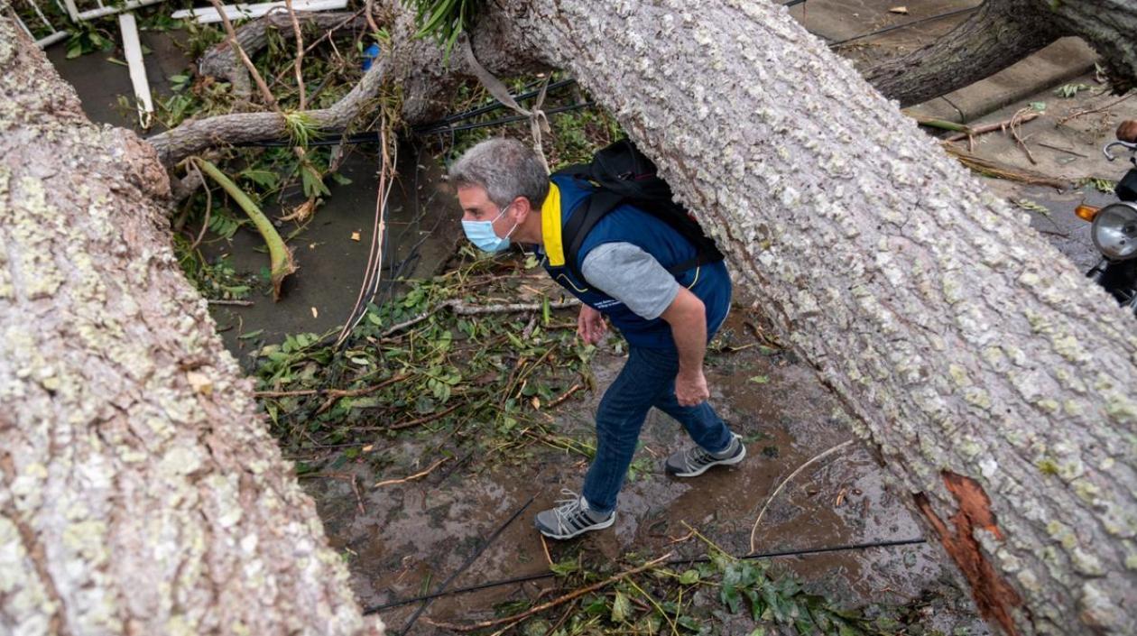El Ministro Carlos Eduardo Correa anunció la construcción de un megavivero en Providencia.
