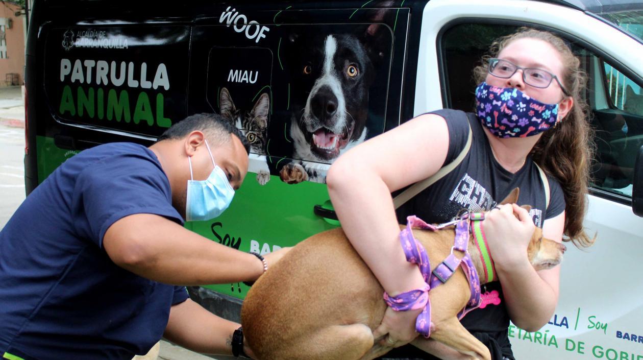 'Patrulla animal' en Barranquilla