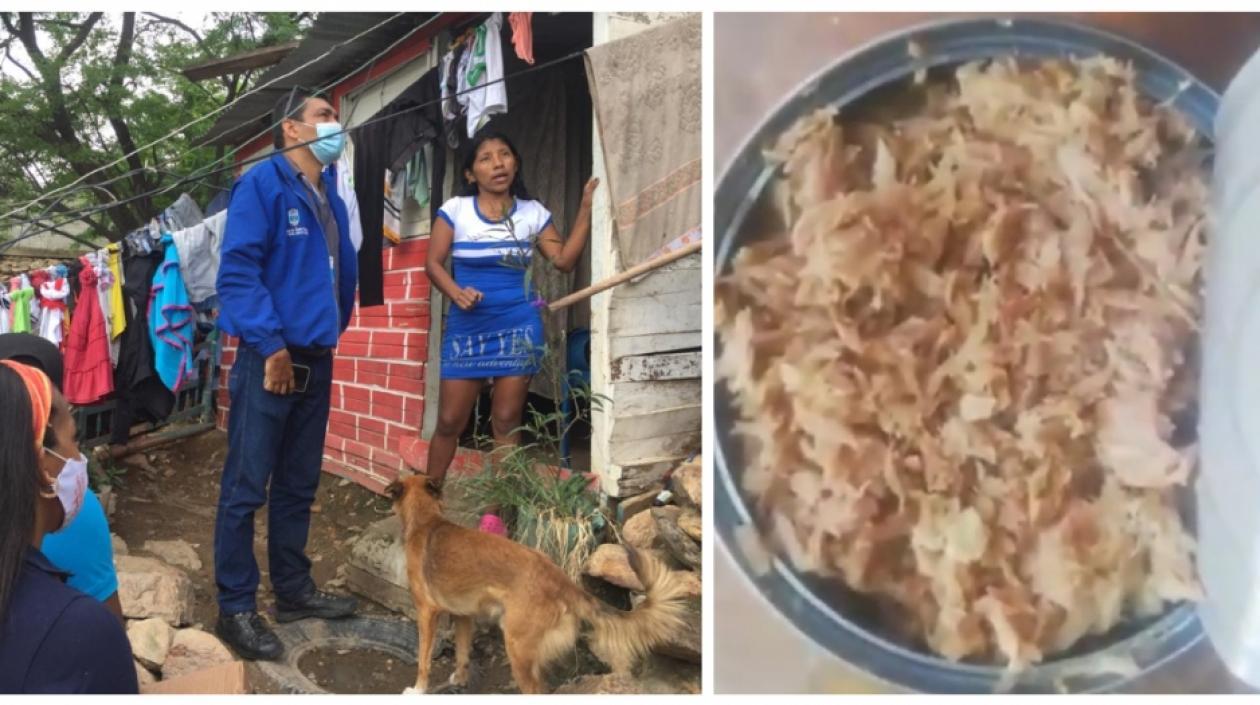 Brigadas del PAE y atunes.