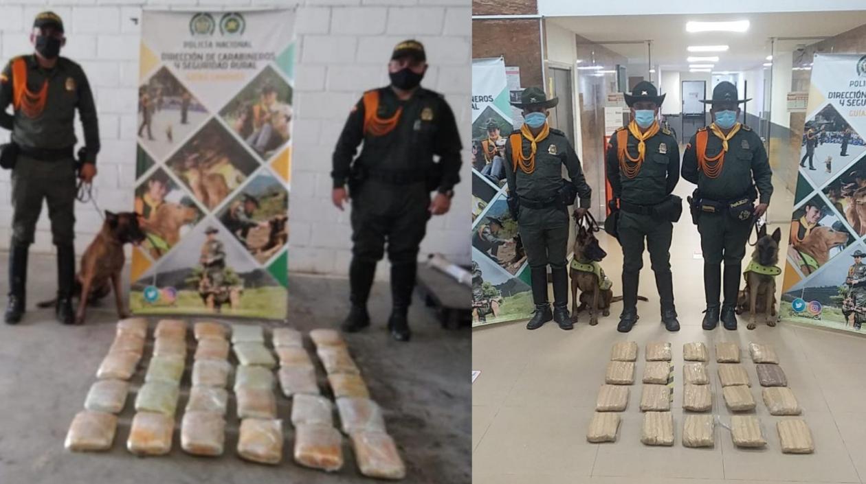 La droga incautada en los dos operativos. 