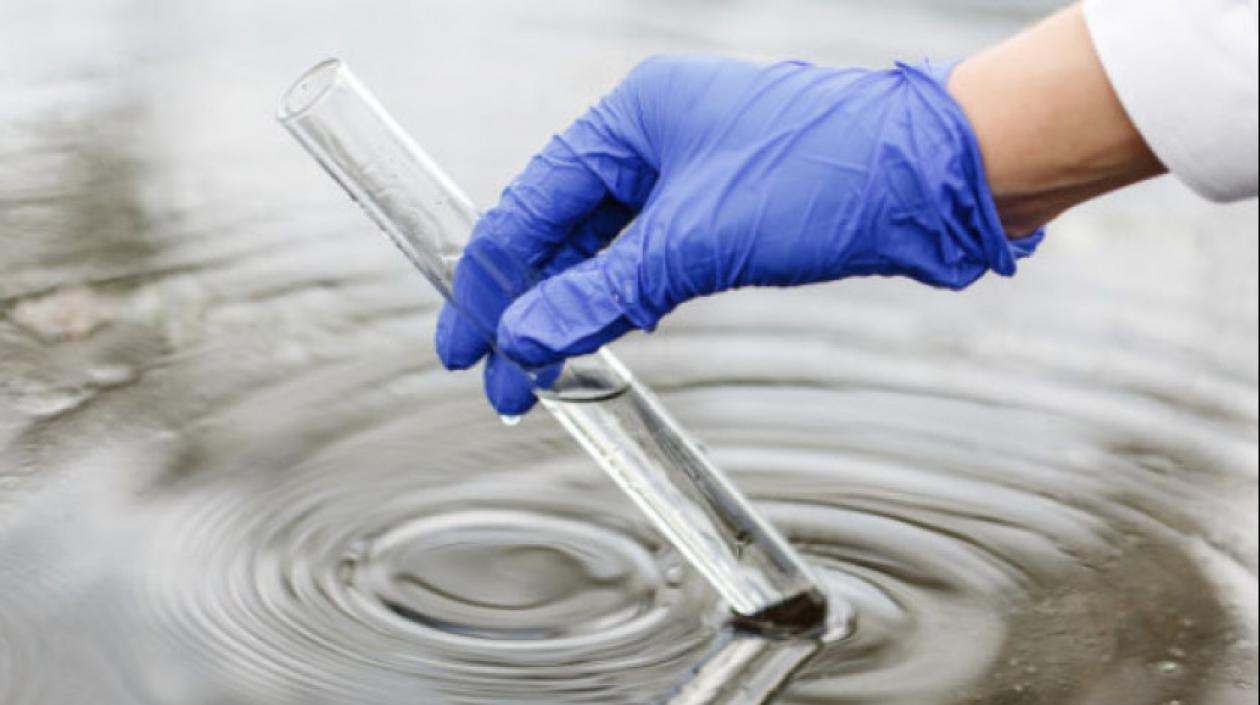 Los trabajos se han centrado en evaluar los cambios en los microorganismos presentes en las aguas residuales.
