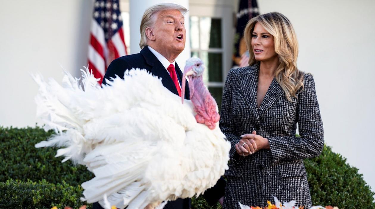 Presidente Donald Trump perdonó a uno de los pavos, como es la tradición.