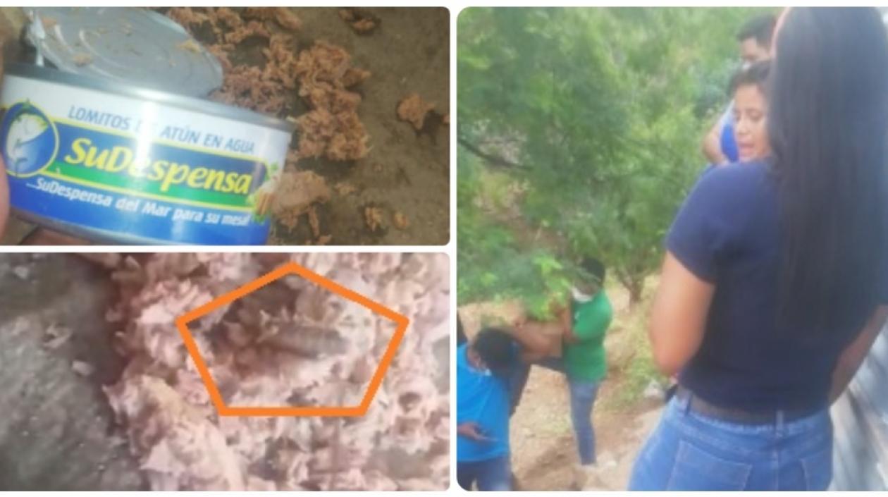 Los gusanos en el atún. 