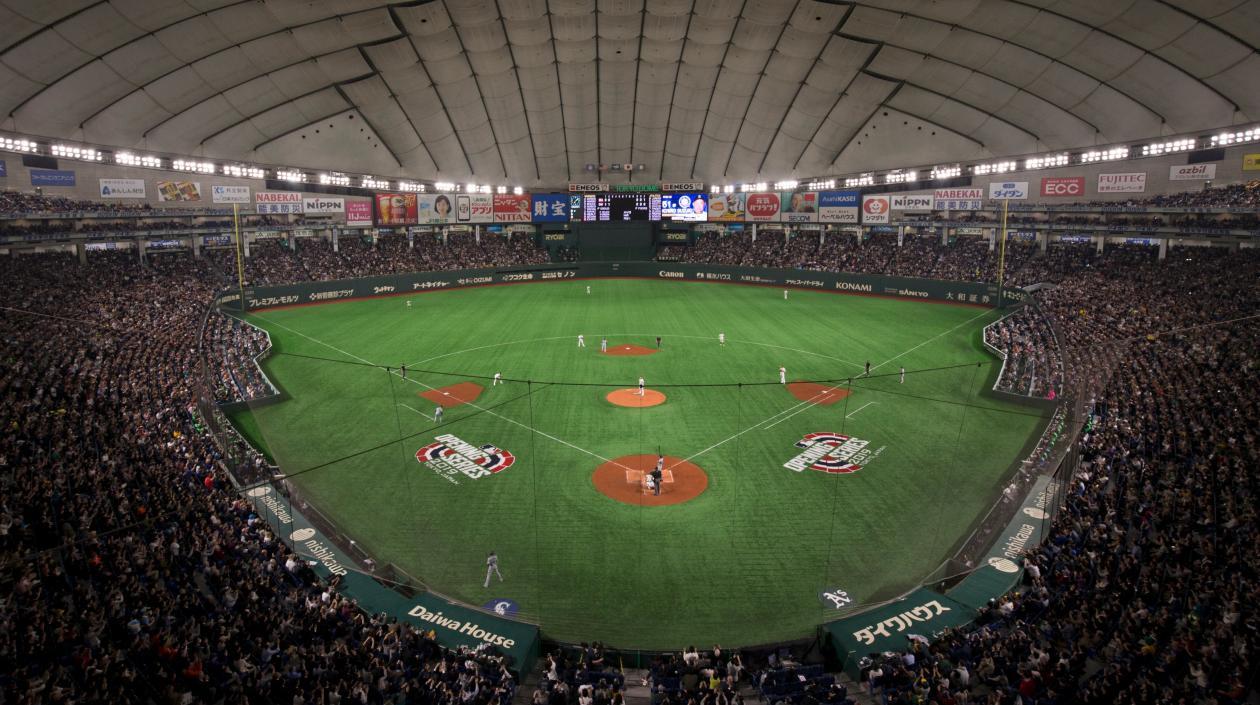 Las Grandes Ligas no pudieron disfrutar de estos aficionados. 