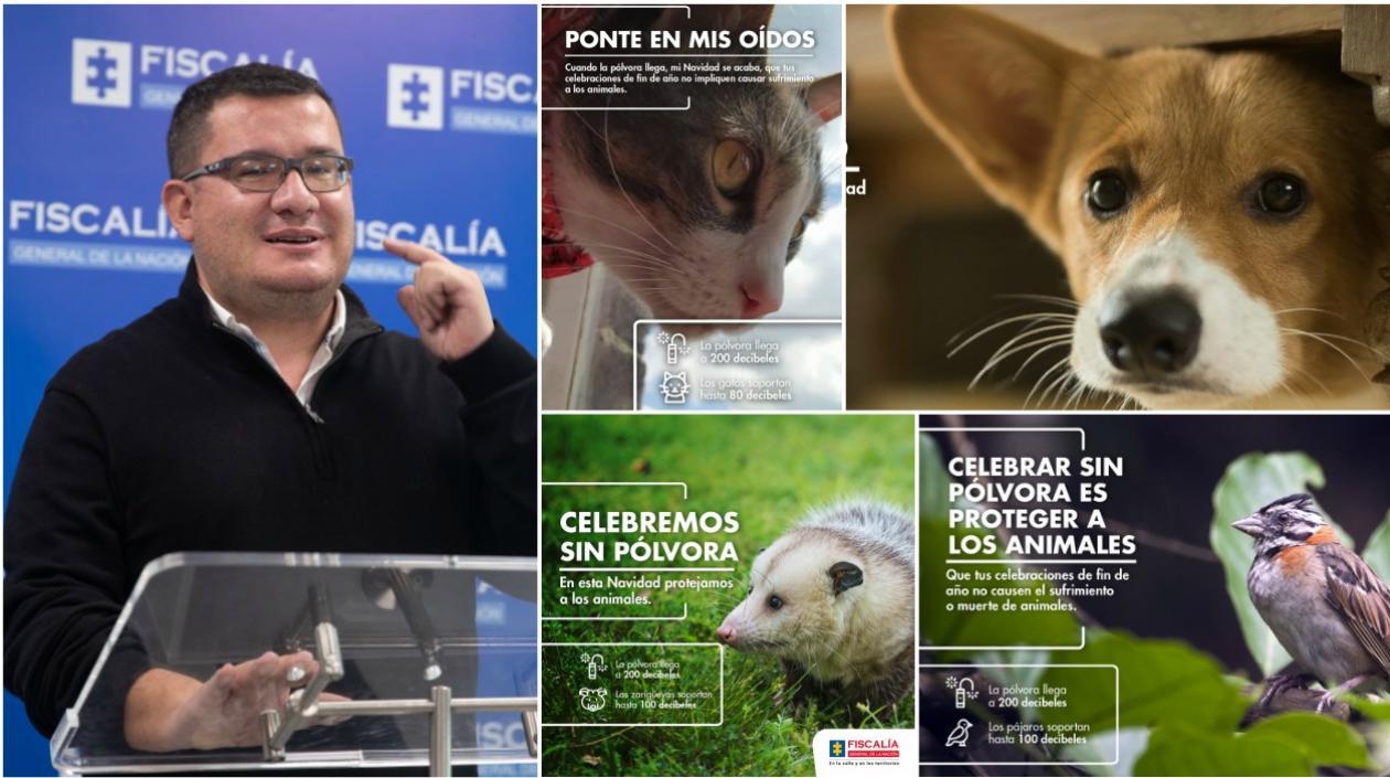 Campaña Ponte en mis oídos fue explicada por el coordinador de la Gelma de la Fiscalía, Alejandro Gaviria.