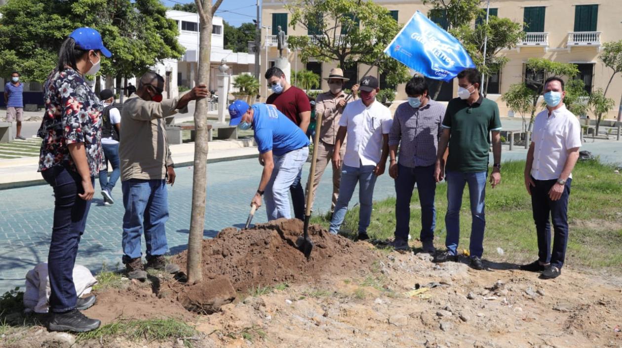 Siembra del primer árbol de la plaza.