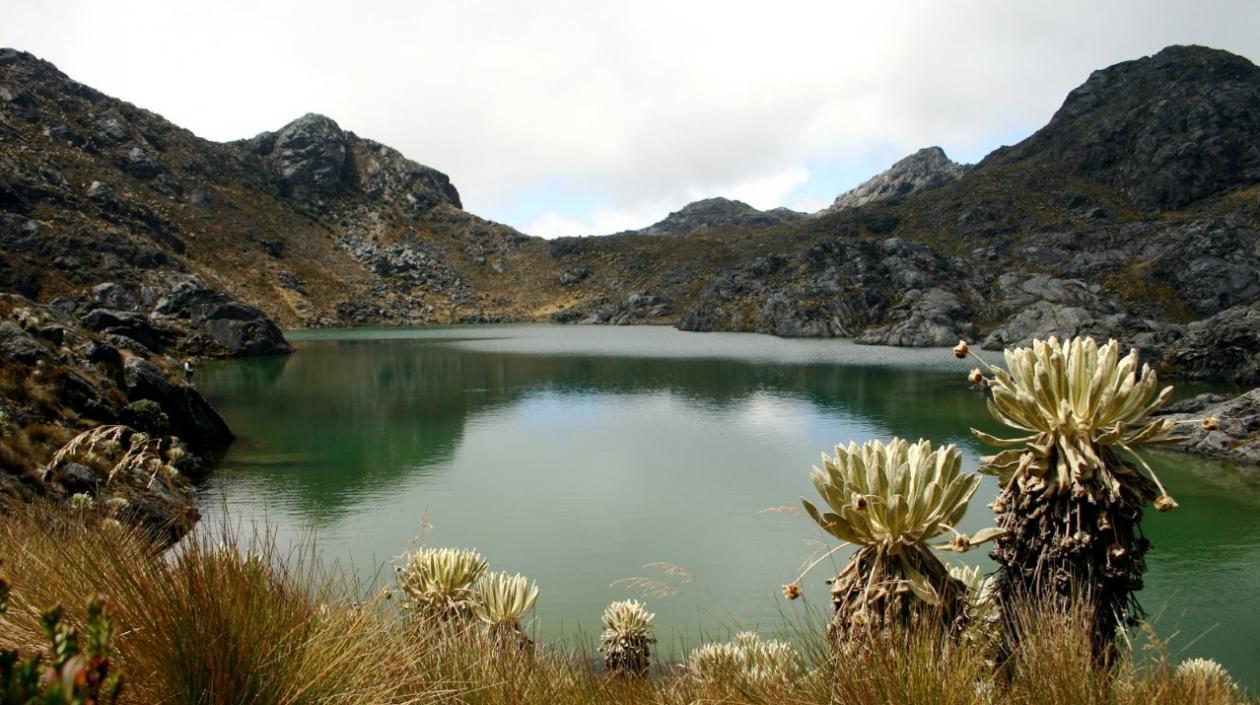 Los recursos para la conservación de los páramos provienen de la cooperación internacional.