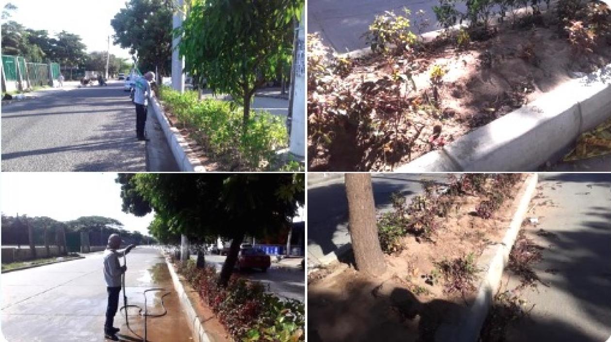 El antes y después en los sectores afectados.