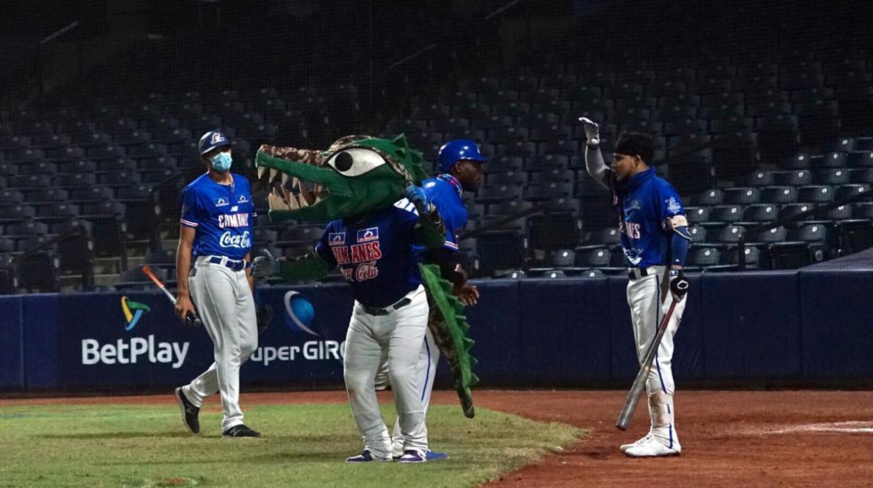 Audy Ciriaco celebra luego de anotar una de las carreras de Caimanes. 