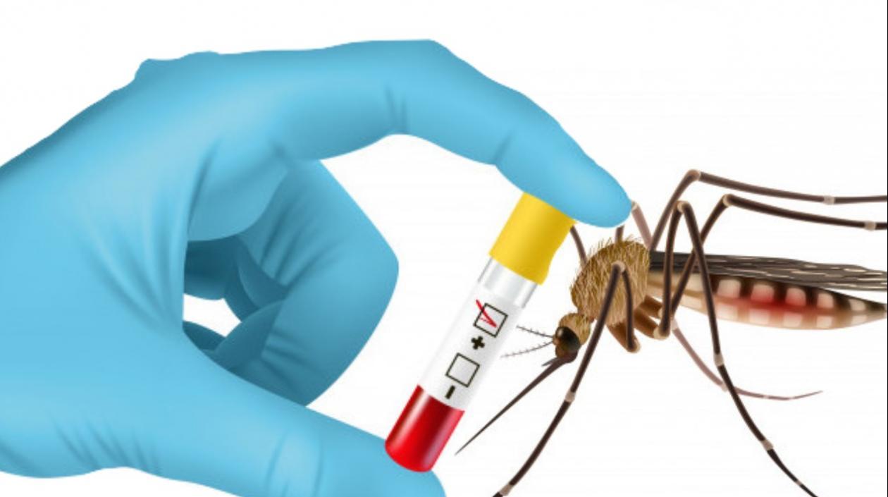 Van 12.217 casos confirmados en Colombia.