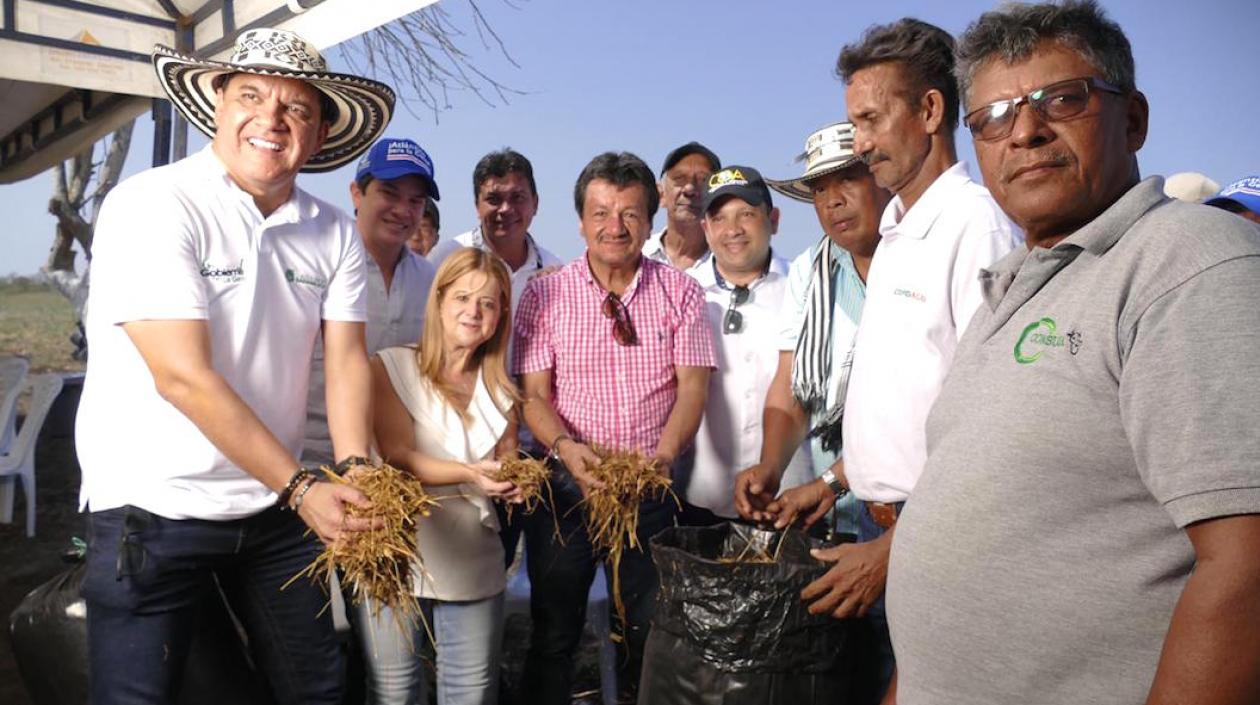 El alimento entregado a pequeños y medianos productores de leche.