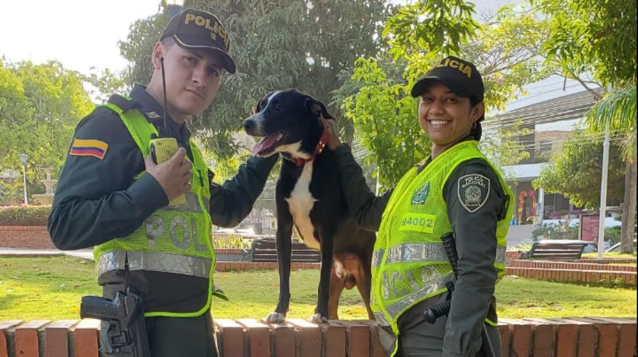 Agentes de la Policía junto a canino hallado.