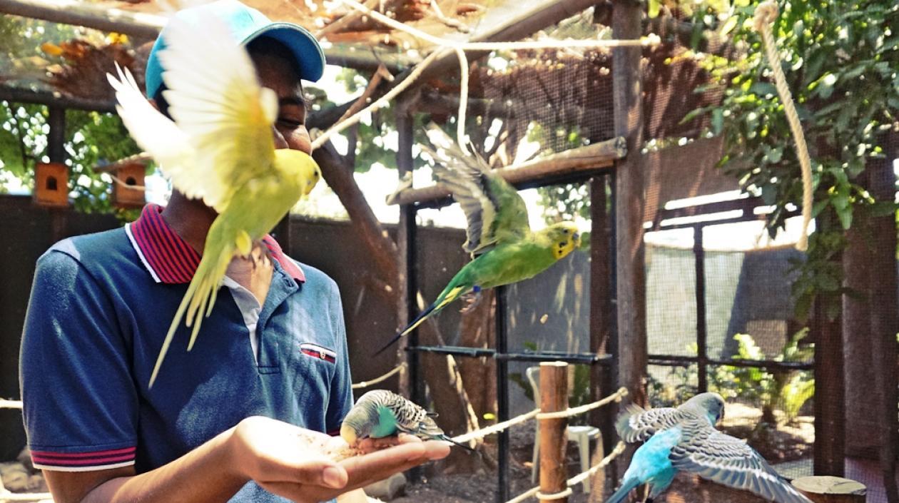 Asistente al Zoo compartiendo con aves.