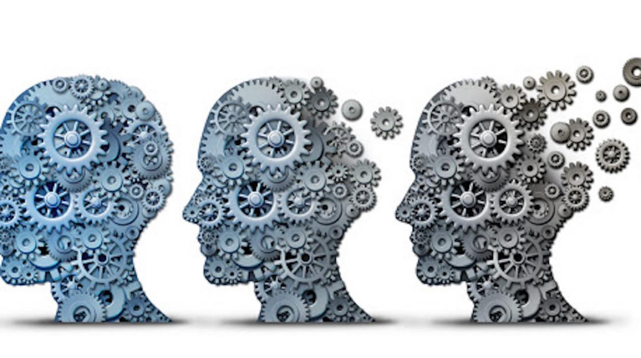 El equipo fue liderado por científicos del Instituto Cajal, del Consejo Superior de Investigaciones Científicas (CSIC).