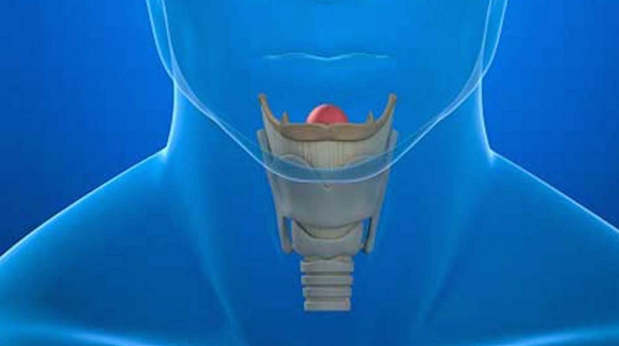 El hipotiroidismo se produce cuando existe una menor función tiroidea y eso afecta a todo el organismo.