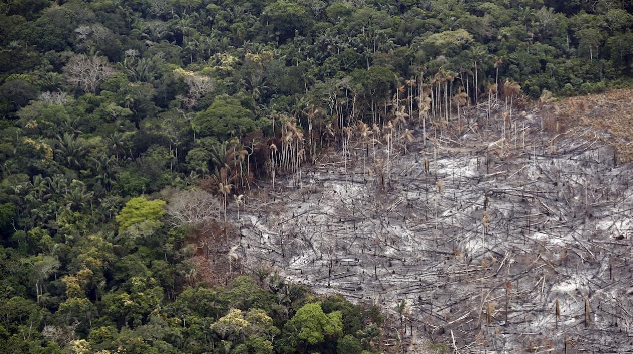 Fotografía de un terreno de selva deforestado, el 22 de febrero de 2020, en el Parque Nacional Natural Tinigua, en el departamento del Meta (Colombia). 