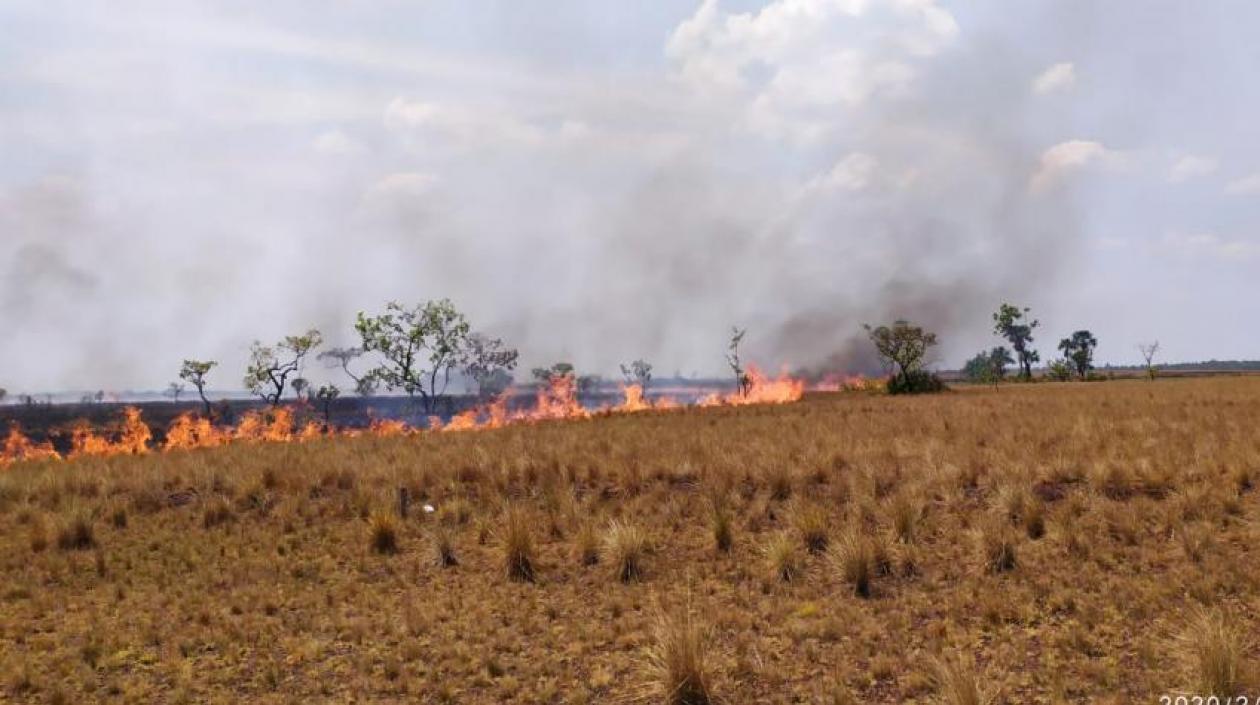 El incendio aún no ha sido controlado.