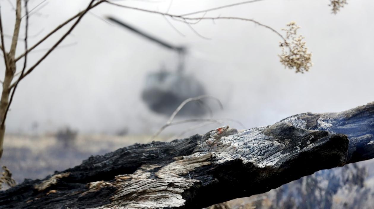 Fotografía de un terreno de selva deforestado