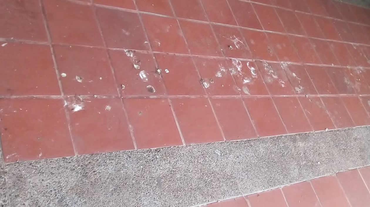 Pisos invadidos por las heces.