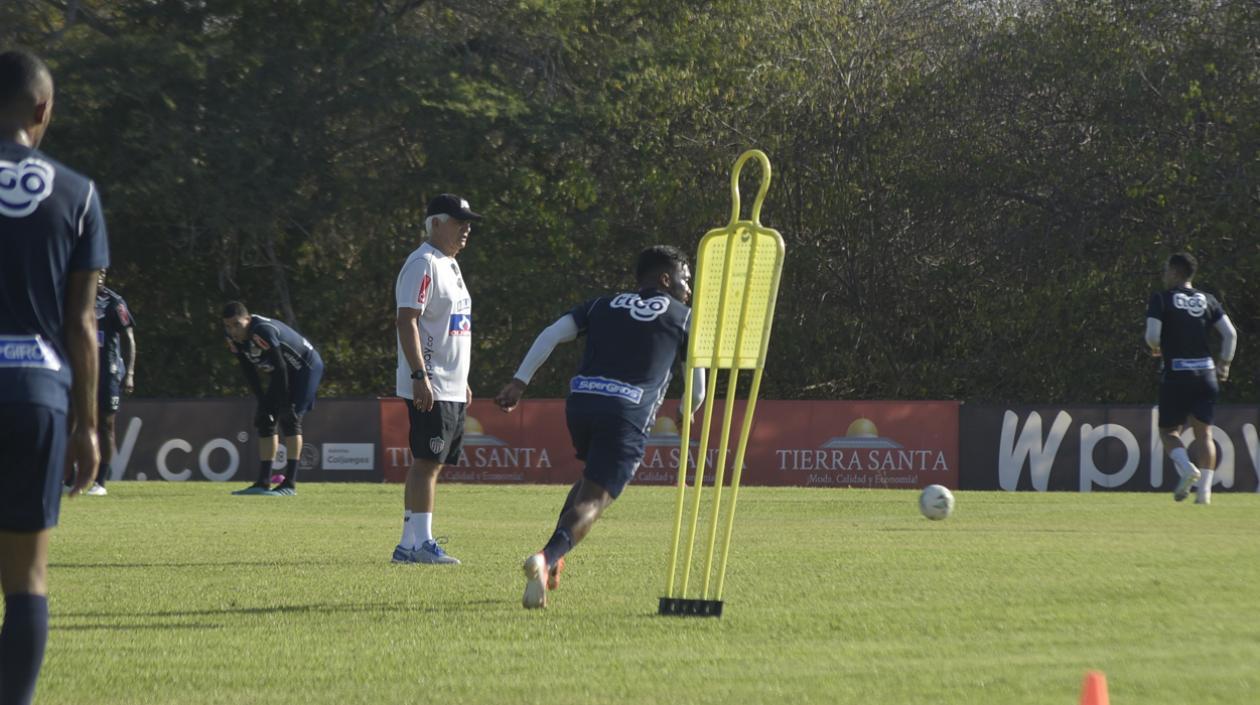Julio Comesaña, técnico de Junior. 