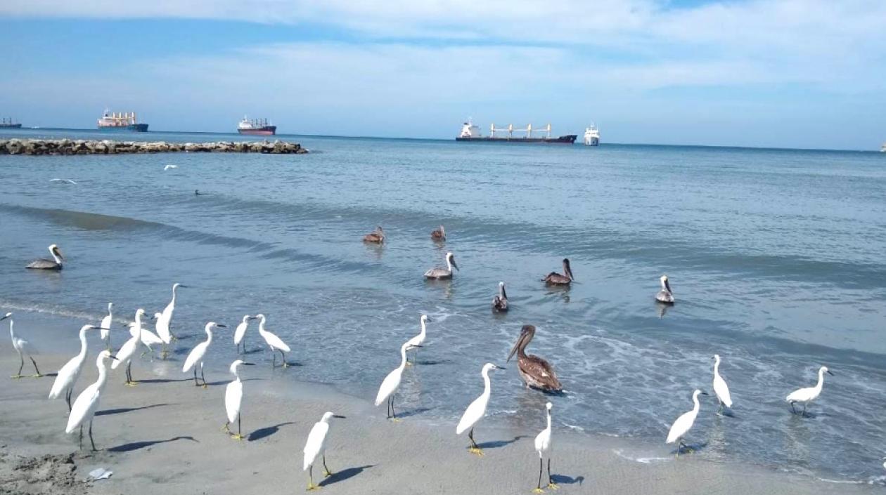 Las playas permanecerán cerradas hasta nuevo aviso.