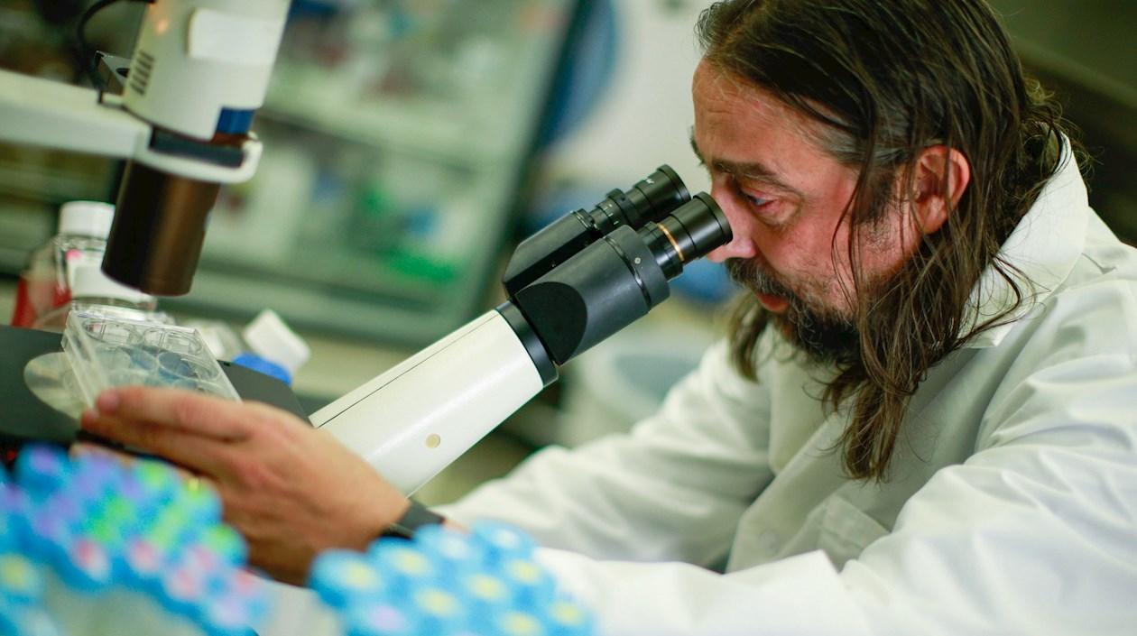 Adolfo García-Sastre, biólogo y experto en enfermedades infecciosas.
