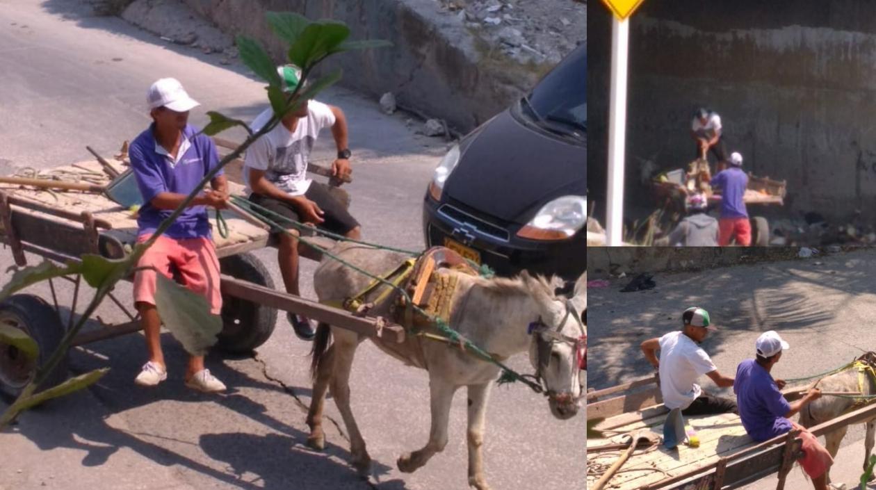 Los carromuleros que protagonizaron el hecho.