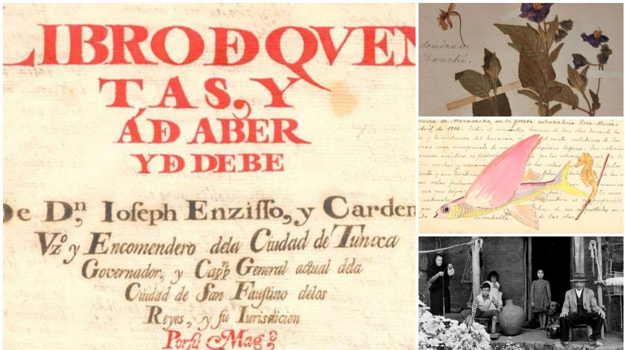 Estos son algunas de las imágenes de los documentos. Fotos, apuntes, reseñas, entre otros.