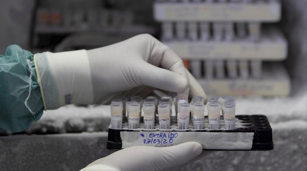 En Brasil las autoridades agilizaron el proceso de evaluación de las pruebas.
