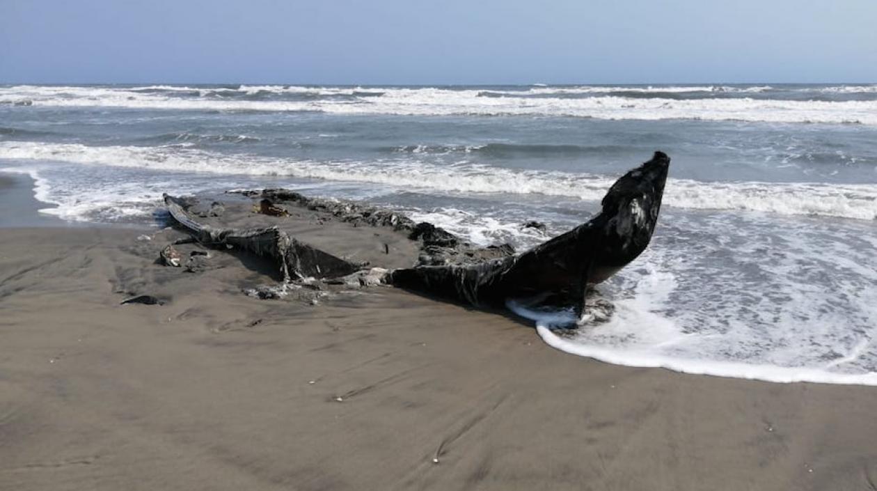 Así quedó el velero después de ser saqueado e incendiado en Bocas de Ceniza.