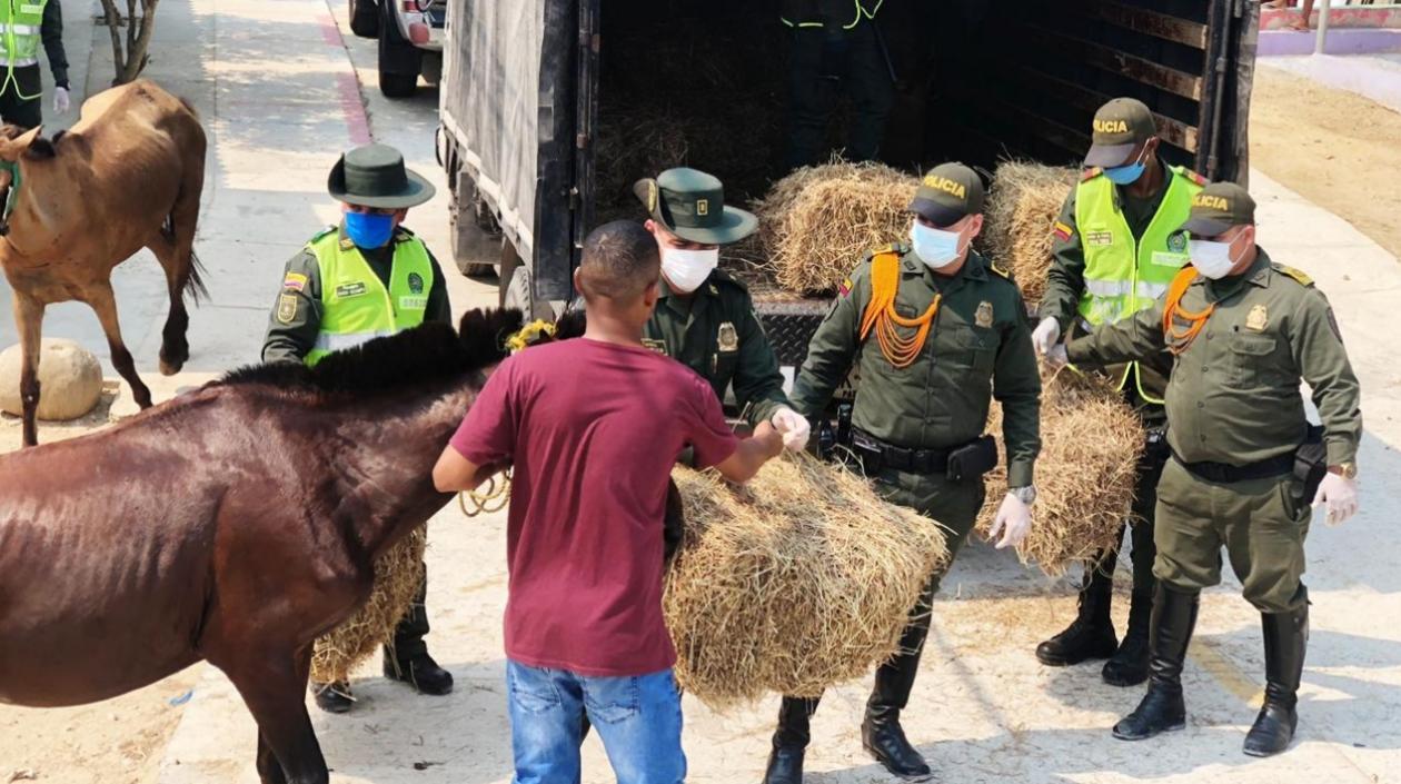 Entrega de pasto en el suroccidente de Barranquilla.