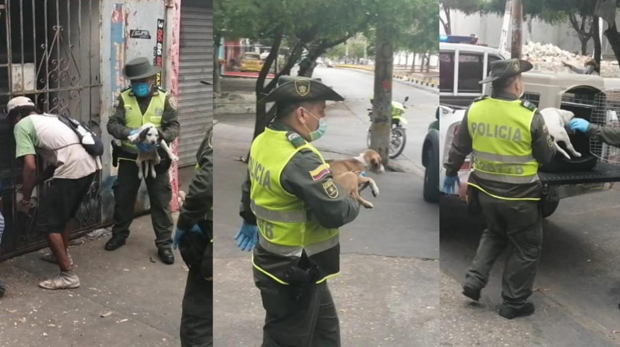 Policía rescatando tres mascotas en el barrio Universal de Barranquilla.