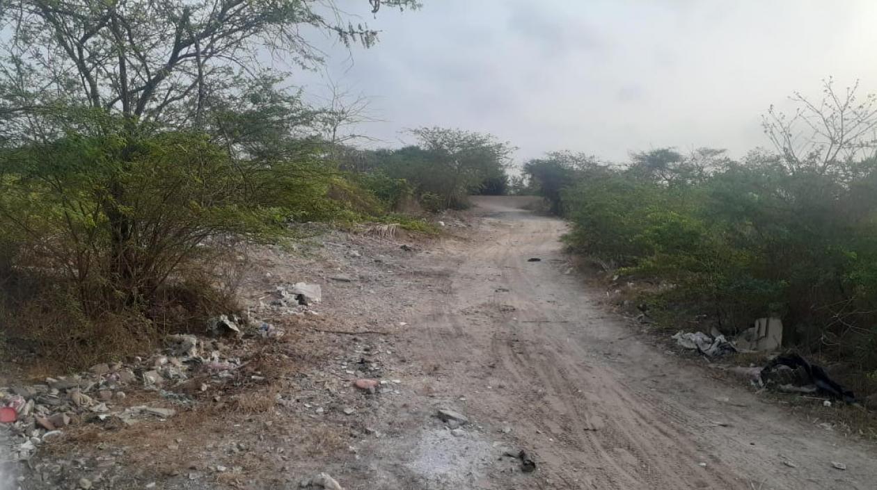 Vía al Caño de las palomas.