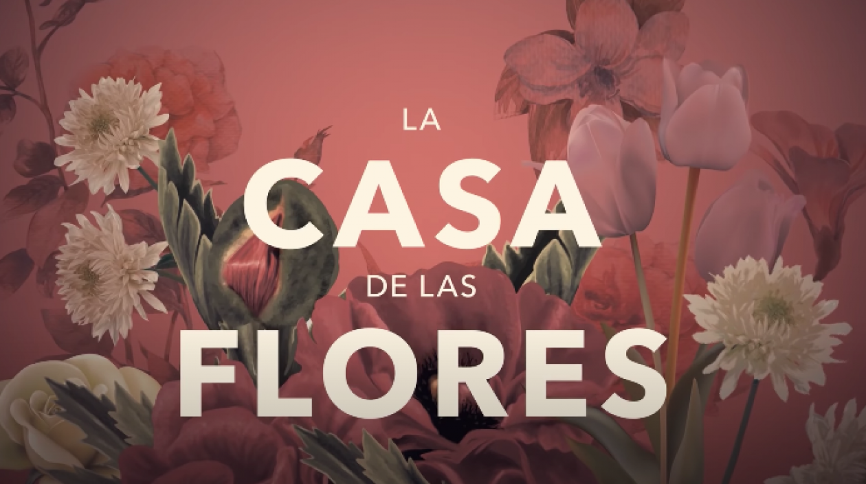 La serie aborda temas como la bisexualidad, la transexualidad y la adicción a las drogas.