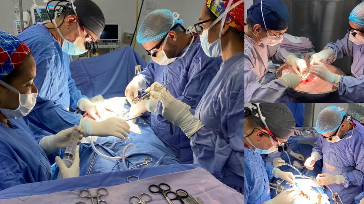 Imágenes de los trasplantes.