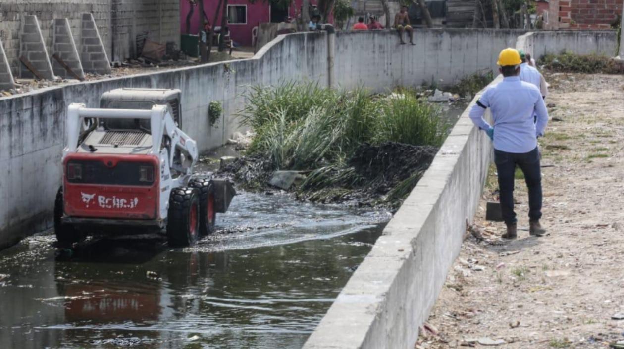 Limpieza del arroyo.