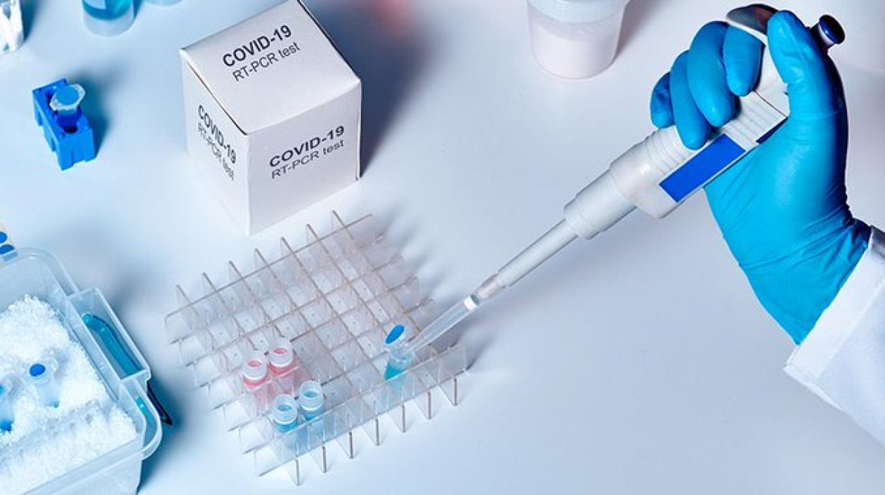 El experto defiende que el virus surgió de un animal.