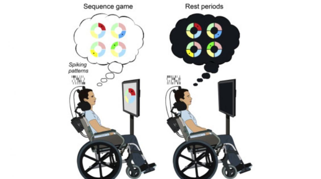  Los participantes descansaban, jugaban y volvían a descansar.