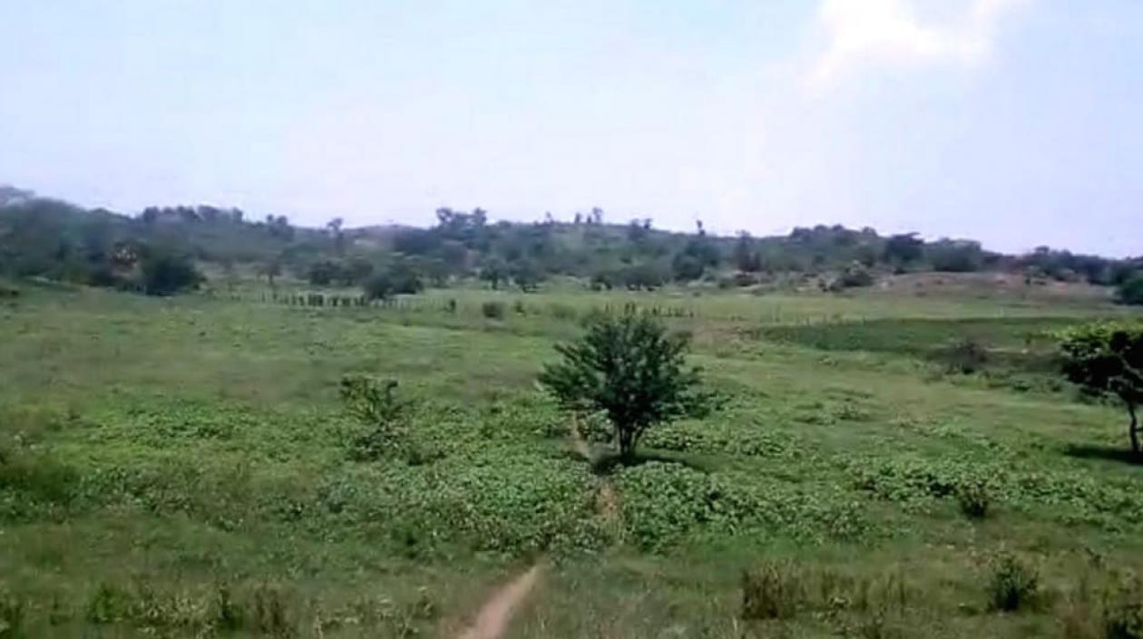 La zona de reserva natural 'La Montañita'.