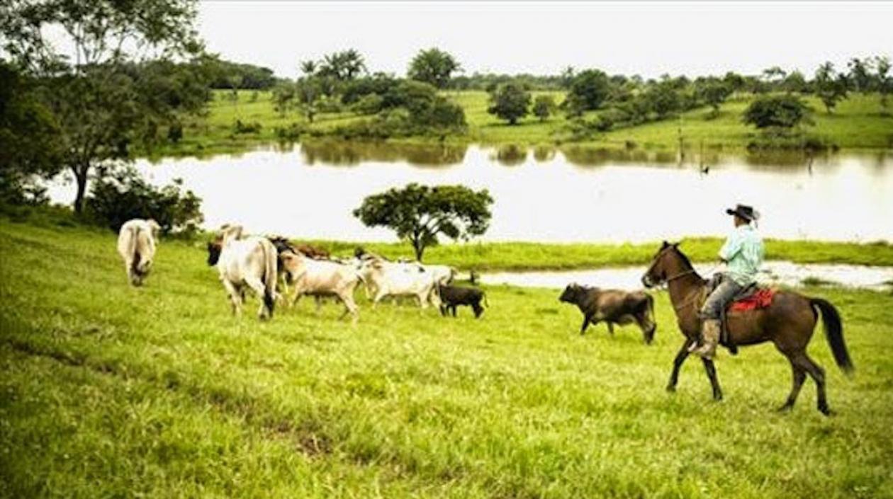 En el curso de la investigación se demostró que Lacouture Armenta declaró la inexistencia de la ciénaga de Amanzaguapos, Dividivi y Caño Viloria.