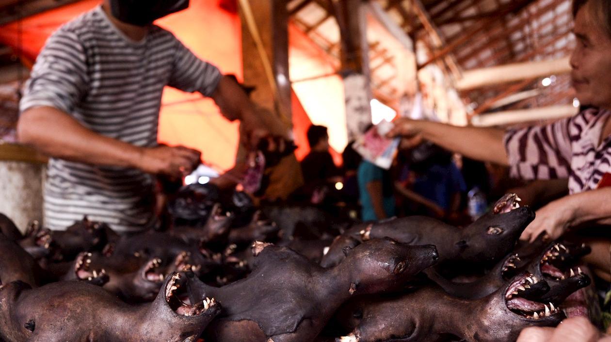 Venta de murciélagos asados.