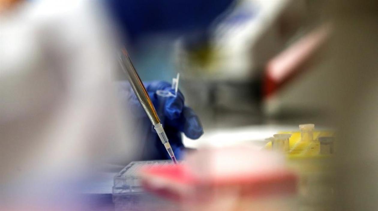 La firma señaló que su vacuna experimental "desarrolló anticuerpos neutralizadores" en ocho participantes.