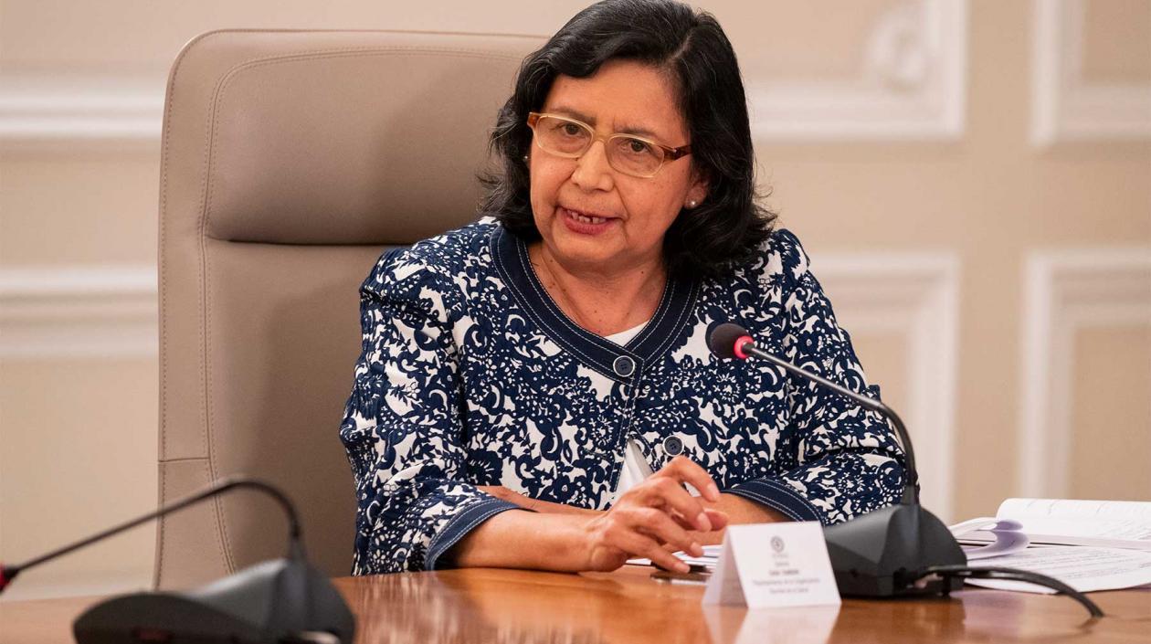 La Representante de la OPS Colombia, Gina Tambini.