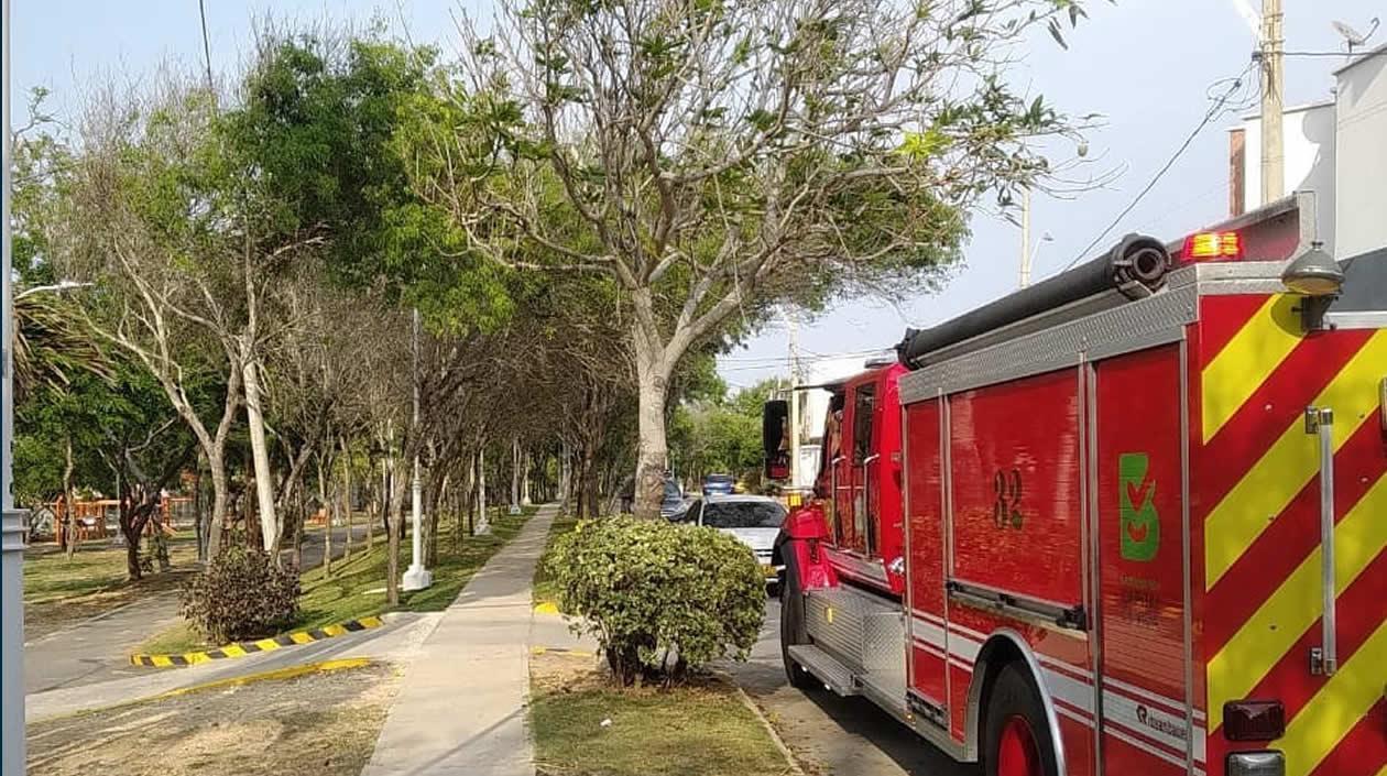 Presencia de Barranquilla Verde y del Cuerpo de Bomberos en el sector.