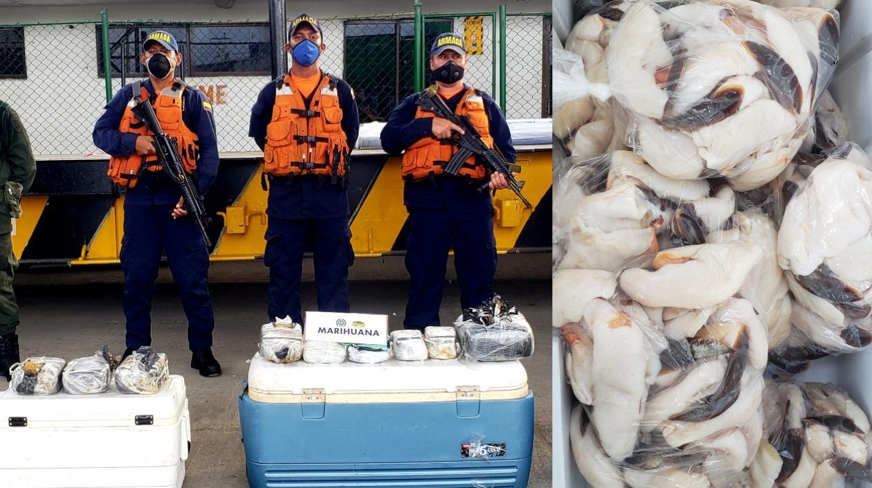 Decomiso de la marihuana.