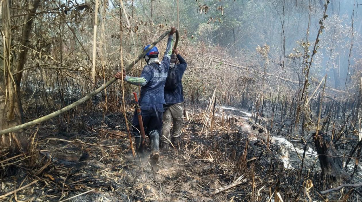 Incendio en el Parque Salamanca.