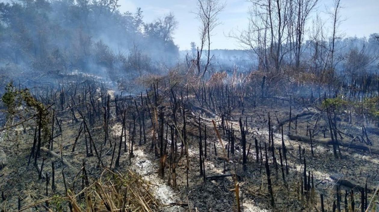 Imagen del incendio.